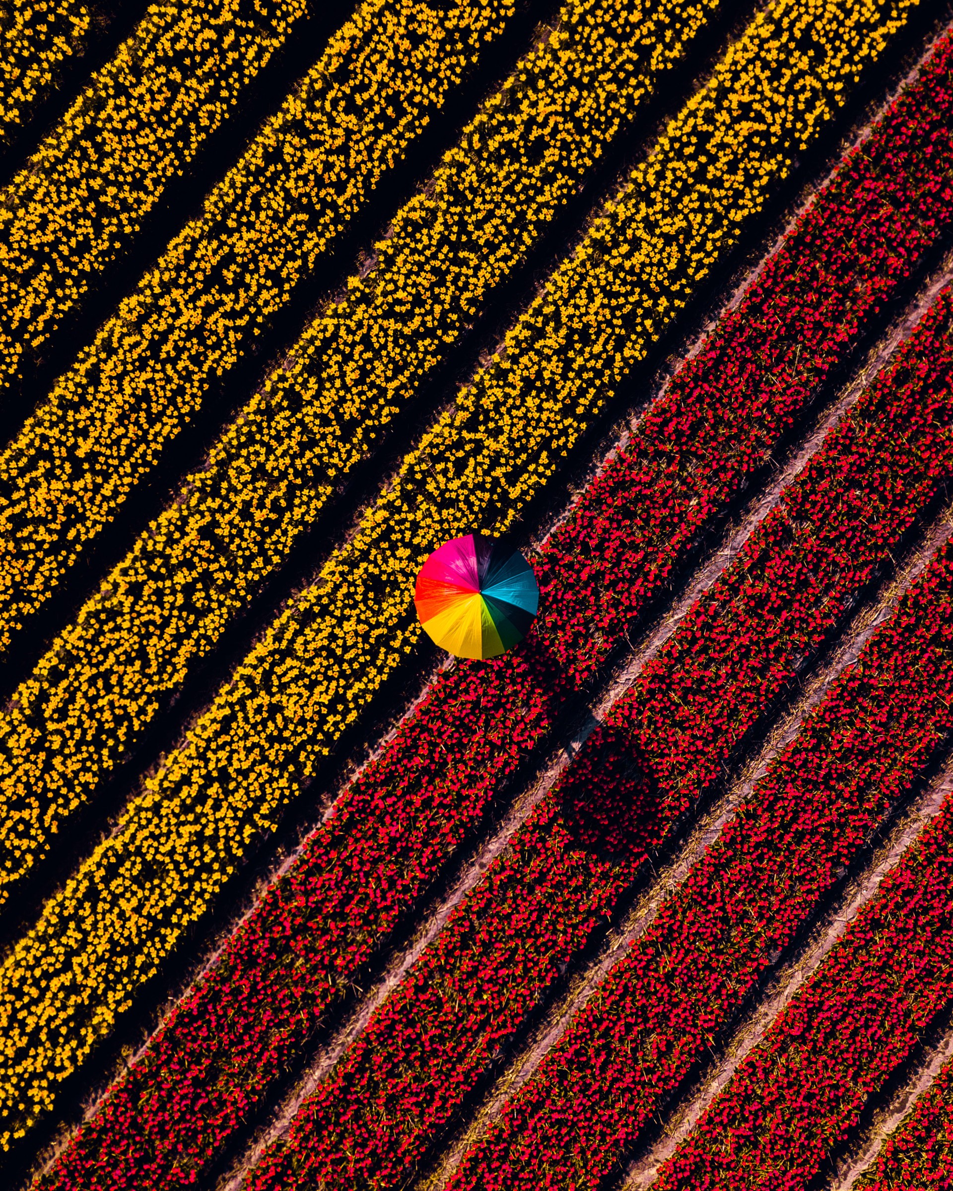 3 Expert Tips for Capturing Breathtaking Spring Aerial Shots