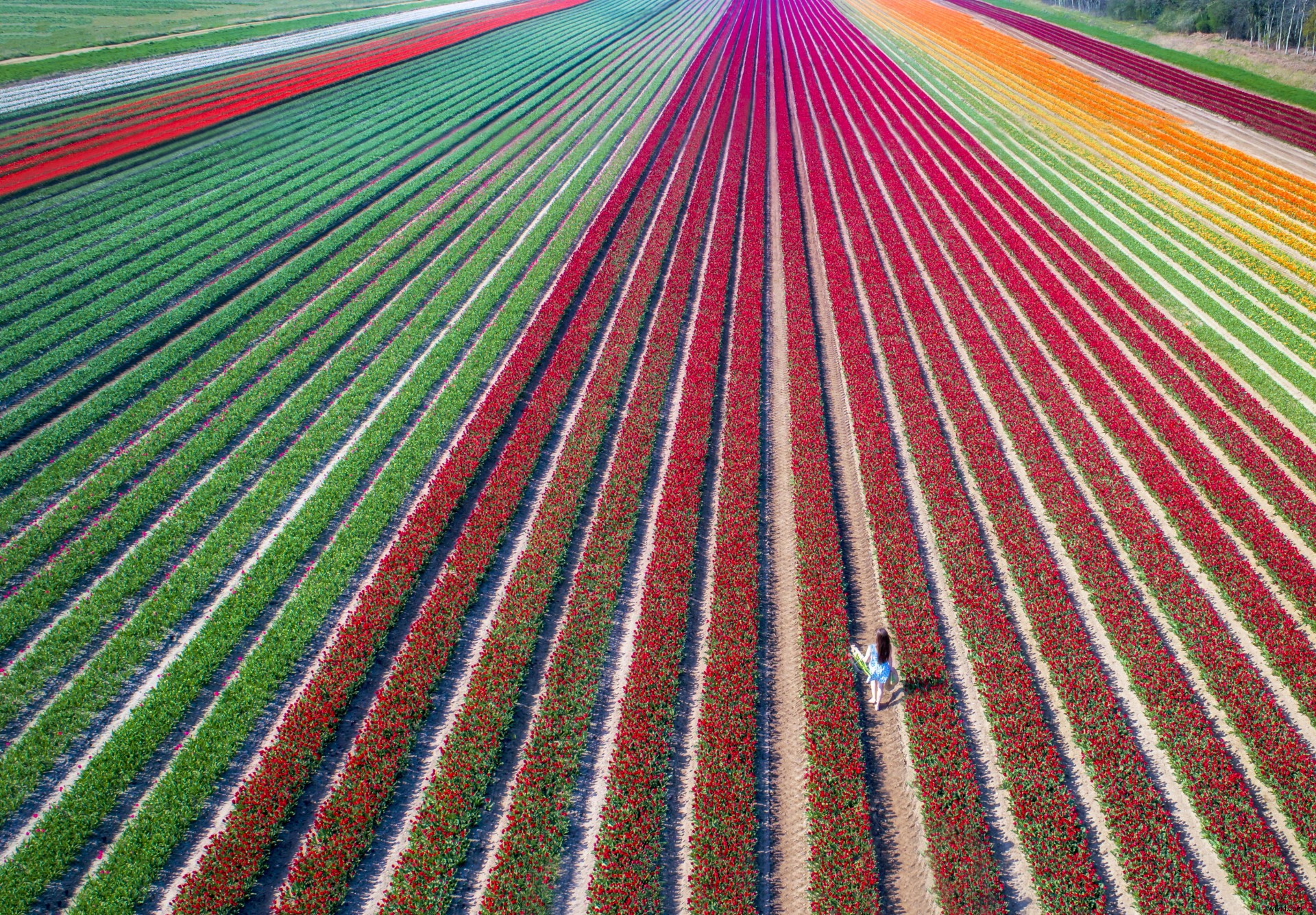 3 Expert Tips for Capturing Breathtaking Spring Aerial Shots