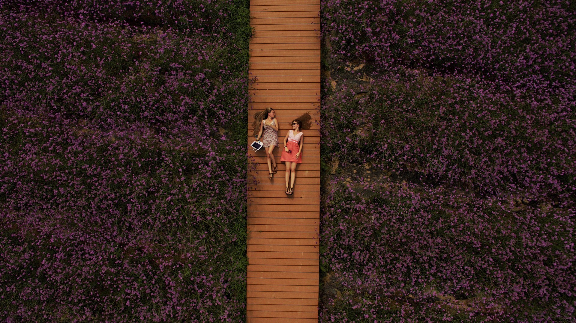 3 Expert Tips for Capturing Breathtaking Spring Aerial Shots