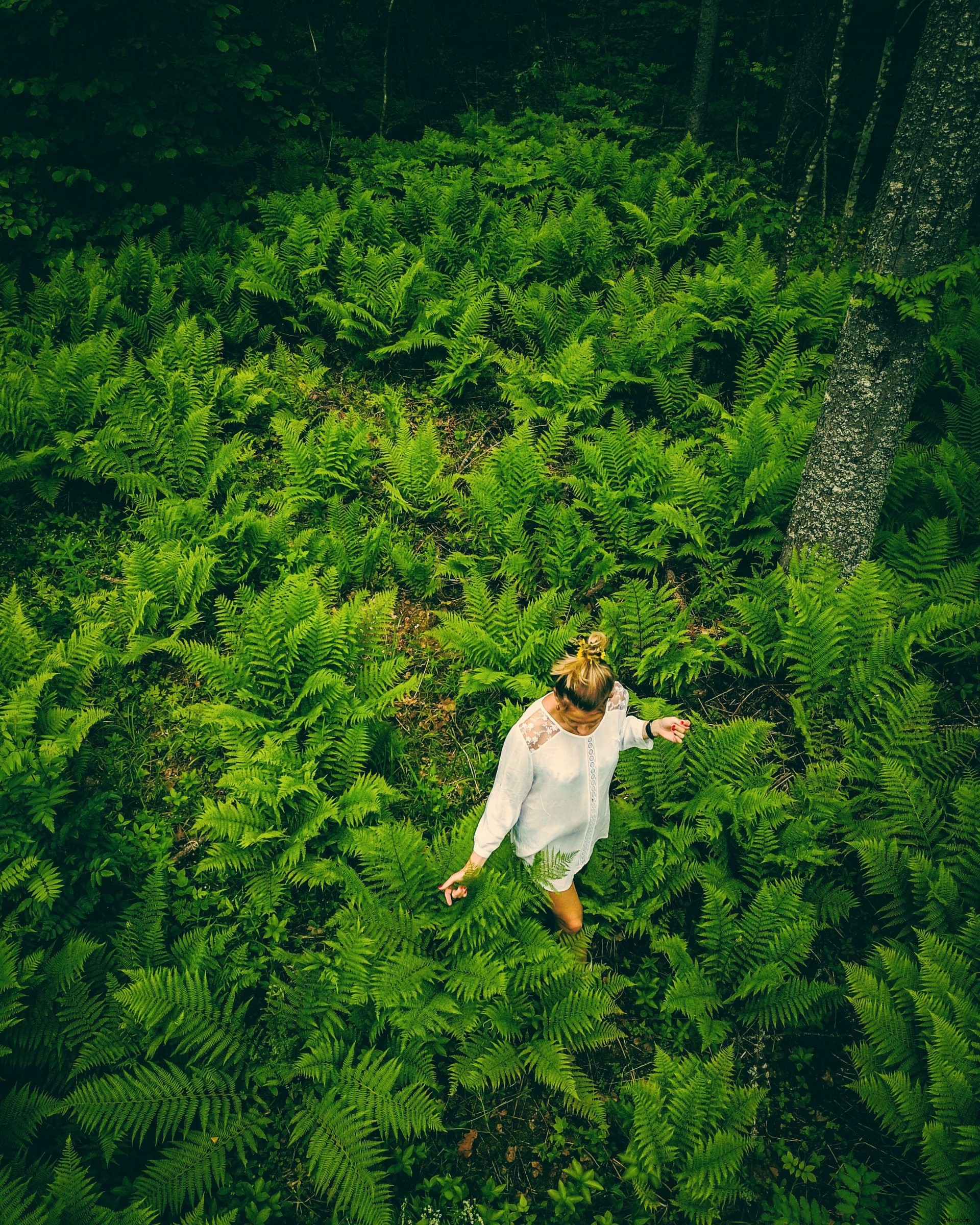 3 Expert Tips for Capturing Breathtaking Spring Aerial Shots