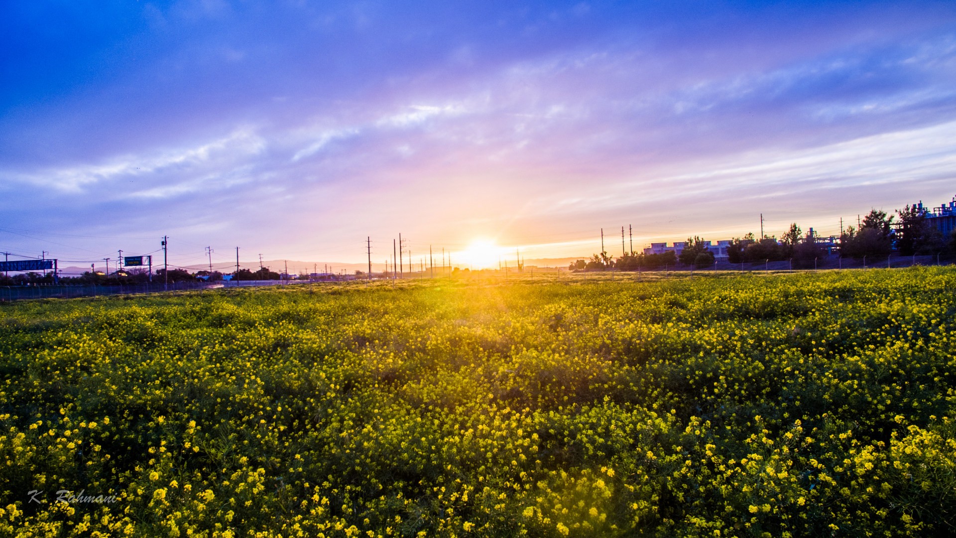 3 Expert Tips for Capturing Breathtaking Spring Aerial Shots