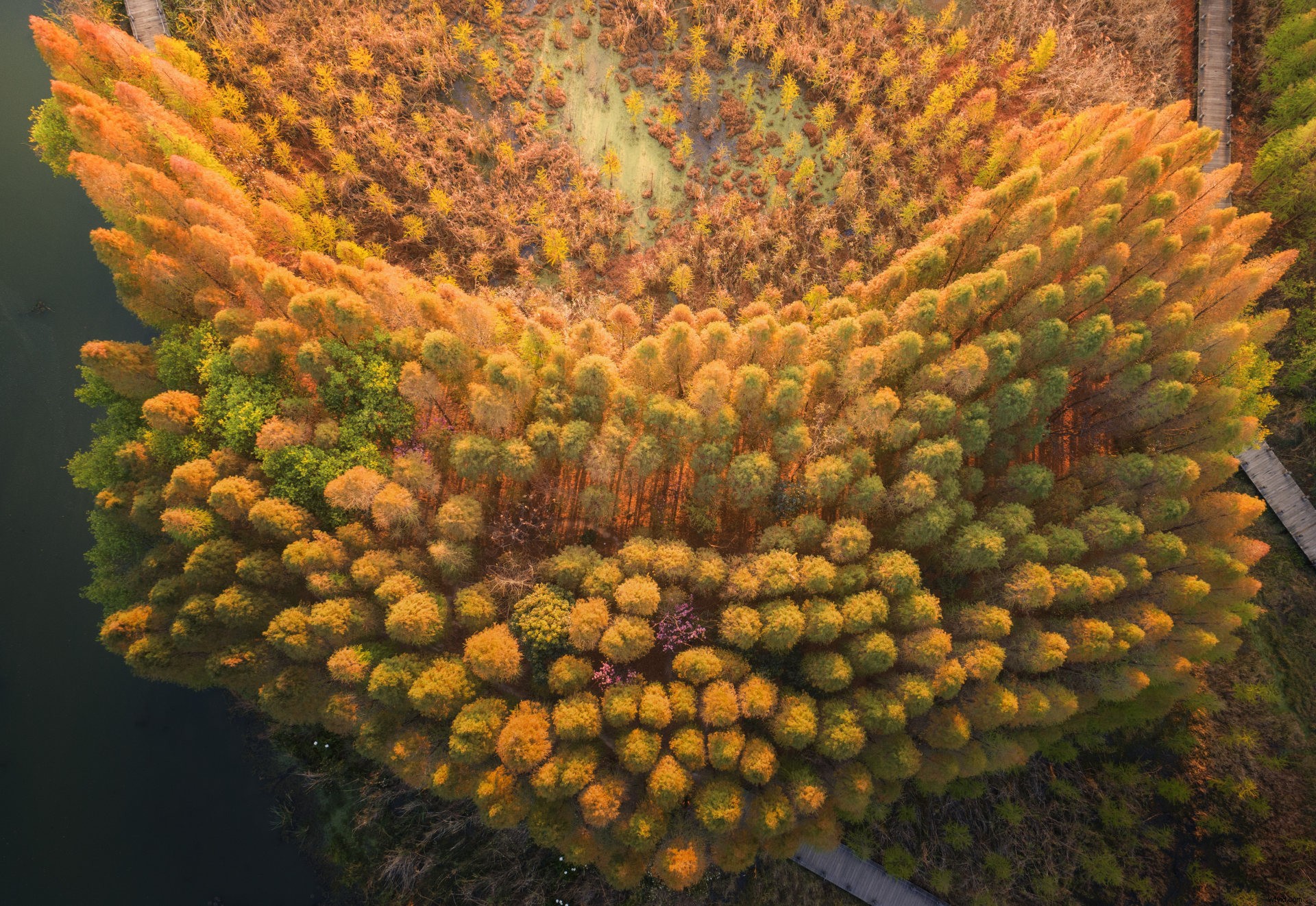 3 Expert Tips for Capturing Breathtaking Spring Aerial Shots