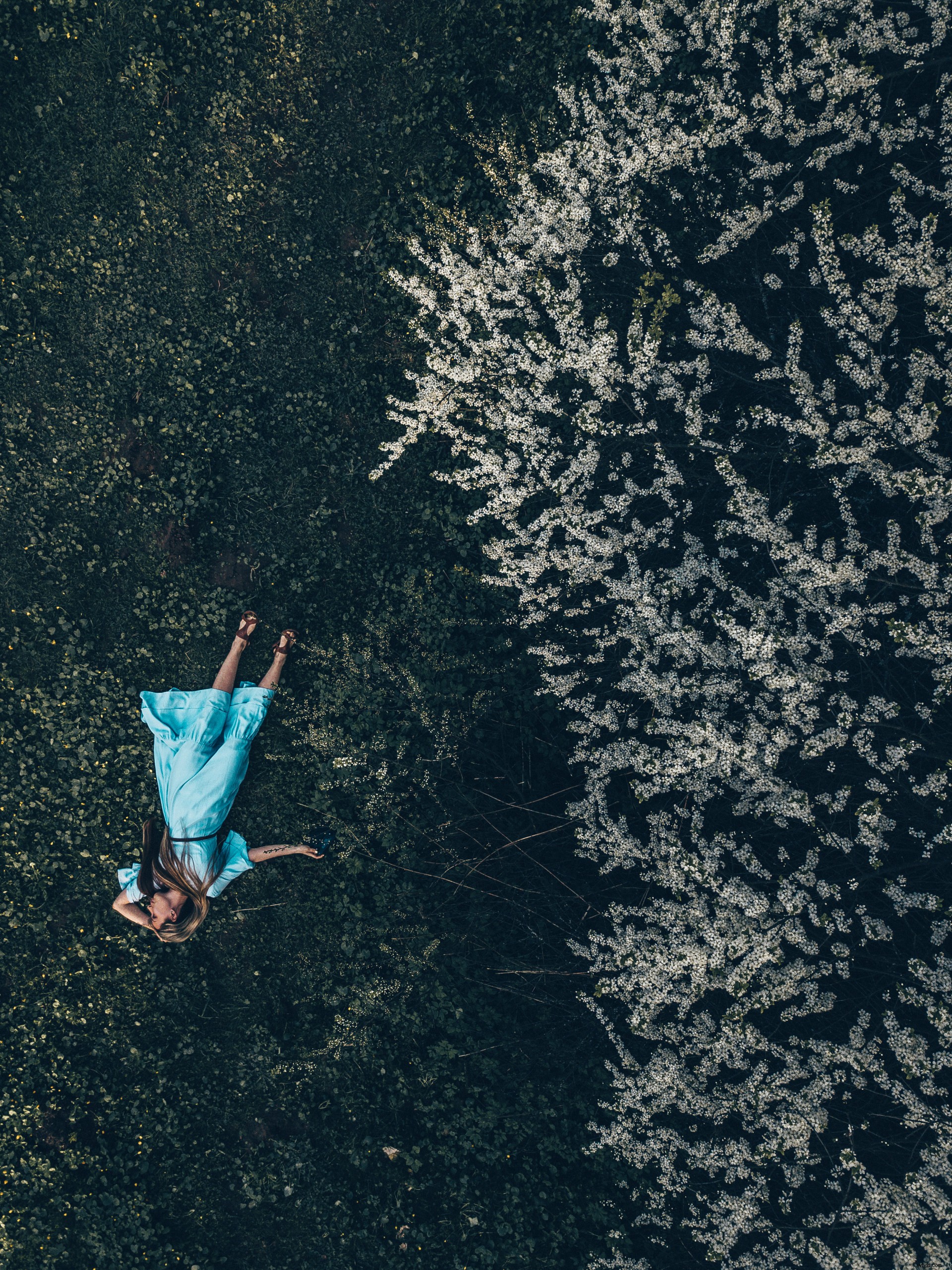 3 Expert Tips to Infuse Fun into Your Aerial Drone Photos