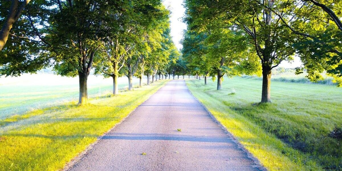 17 Stunning Drone User Stories: Epic Aerial Photos & Videos