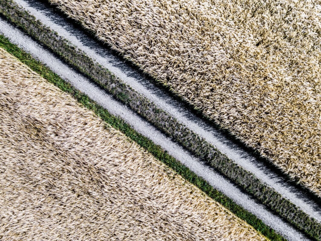 11 Pro Tips to Elevate Your Drone Photography Skills