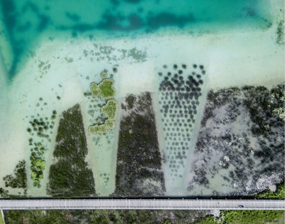 11 Pro Tips to Elevate Your Drone Photography Skills