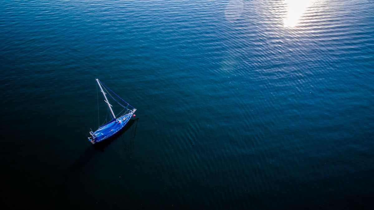 Master Aerial Photography: Top 10 Essential Drone Tips for Stunning Shots