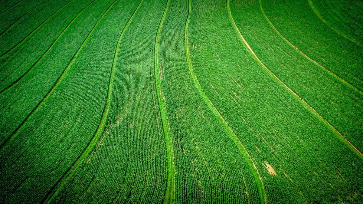 Master Aerial Photography: Top 10 Essential Drone Tips for Stunning Shots