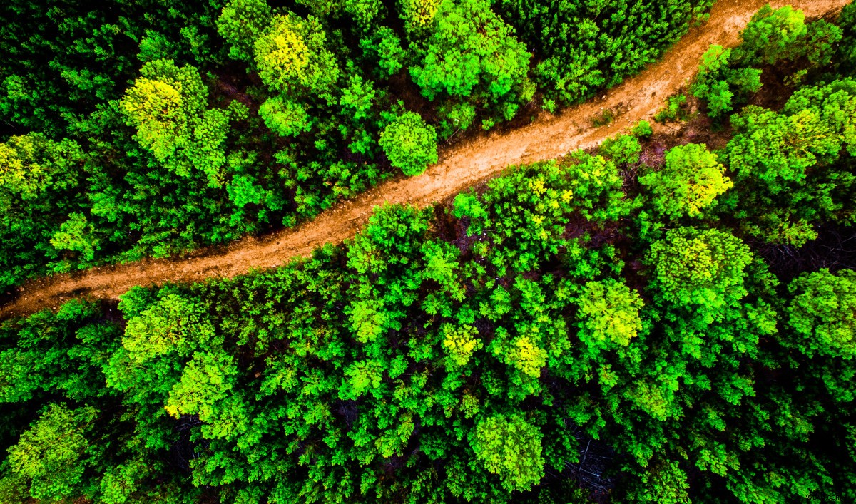Master Aerial Photography: Top 10 Essential Drone Tips for Stunning Shots