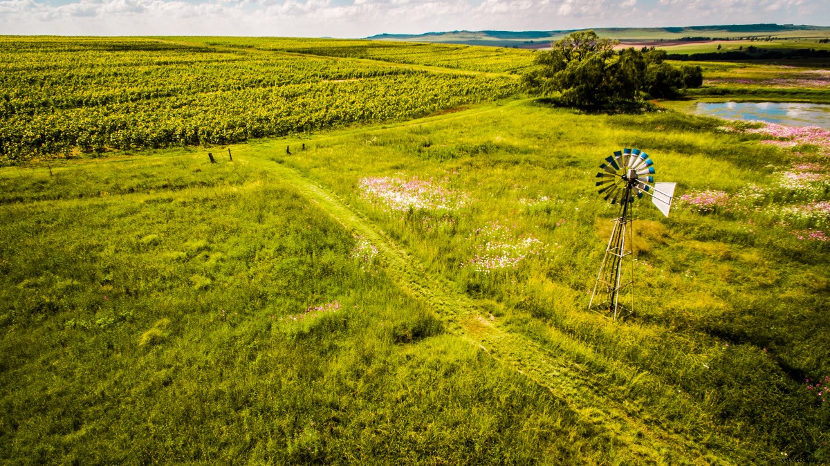 Master Aerial Photography: Top 10 Essential Drone Tips for Stunning Shots