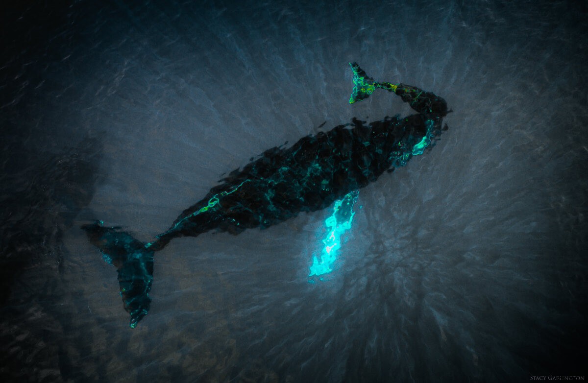 Expert Photography & Videography Tips for Unforgettable Island Vacations