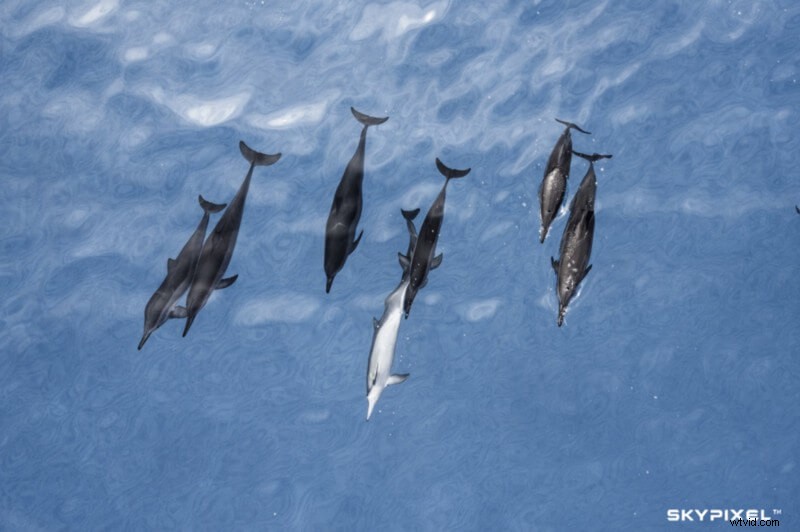 2017 Aerial Photography Year in Review: Stunning Shots and Emerging Trends