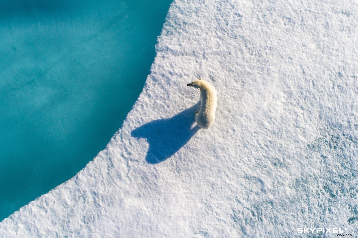 2017 Aerial Photography Year in Review: Stunning Shots and Emerging Trends