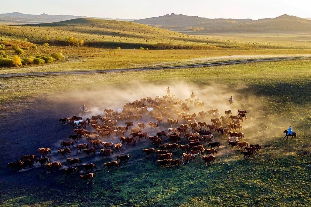 Master 6 Essential Photo Modes for Pro Aerial Drone Photography