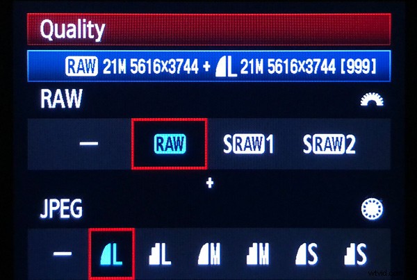 RAW vs. JPEG: Which Image Format Should Photographers Choose?