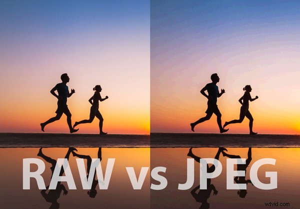 RAW vs. JPEG: Which Image Format Should Photographers Choose?