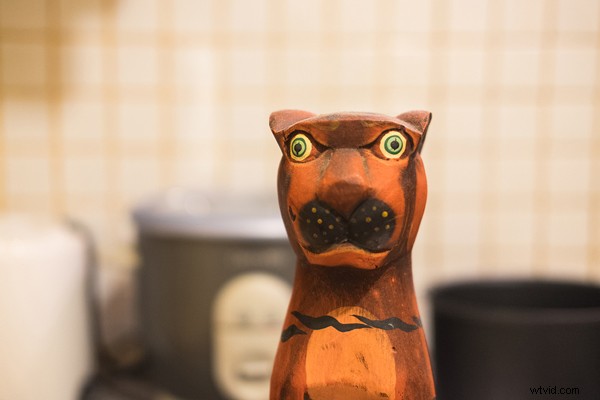 Master the Histogram: Expose to the Right for Stunning Photos