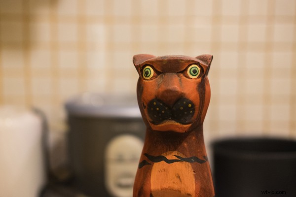 Master the Histogram: Expose to the Right for Stunning Photos