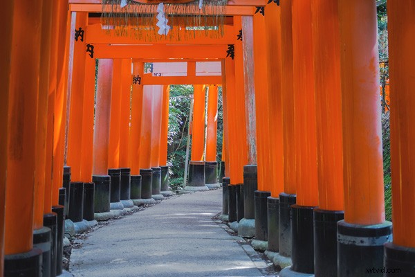 Master the Histogram: Expose to the Right for Stunning Photos