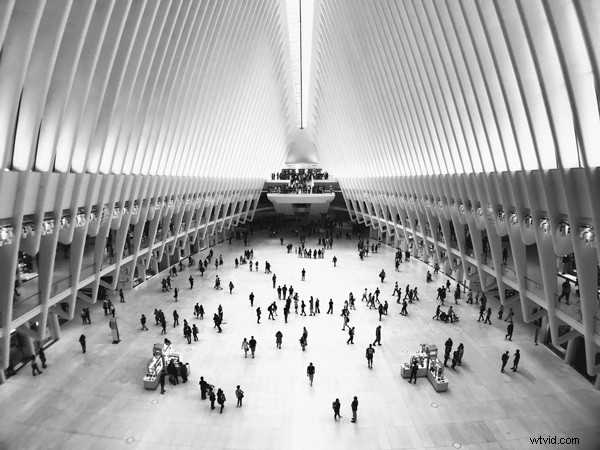 Black and White Photography: Essential Beginner s Guide to Stunning Shots