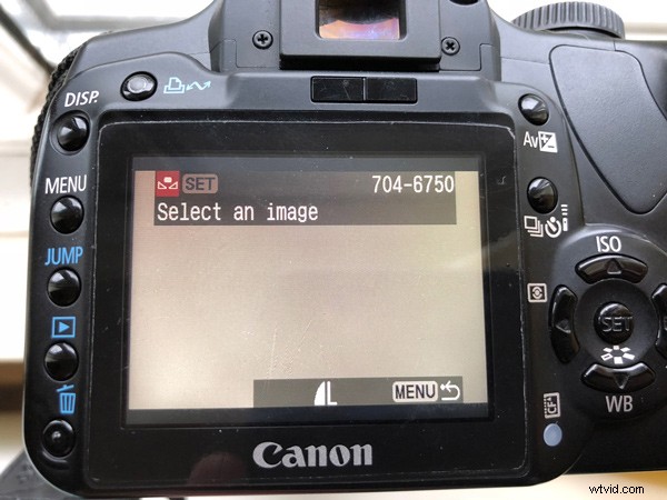 Master White Balance: Achieve True-to-Life Colors in Every Photo