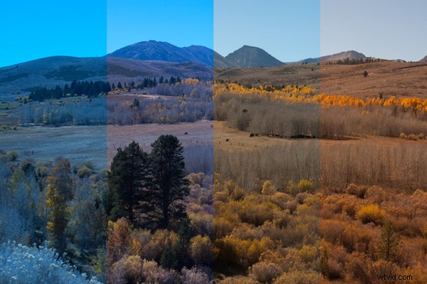 Master White Balance: Achieve True-to-Life Colors in Every Photo