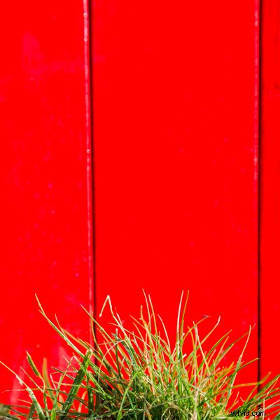 6 Expert Tips for Mastering Color in Photography