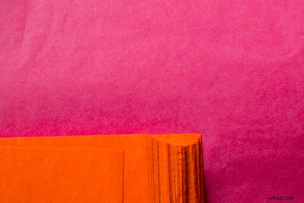 6 Expert Tips for Mastering Color in Photography