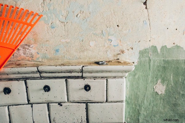 6 Expert Tips for Mastering Color in Photography