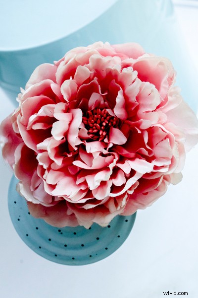 6 Expert Tips for Mastering Color in Photography