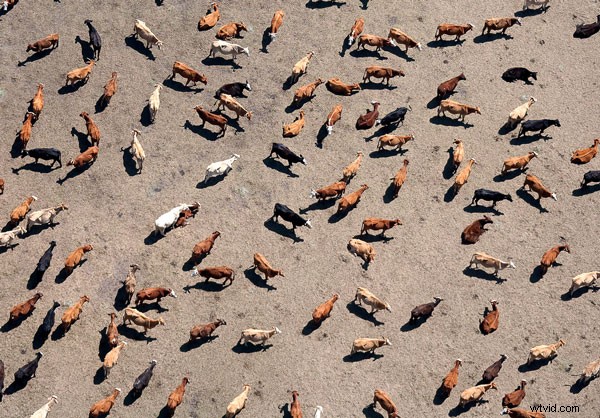 8 Essential Tips to Master Drone Photography for Beginners