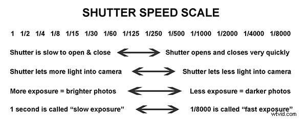 Master Panning: Freeze Moving Subjects with Stunning Blurry Backgrounds