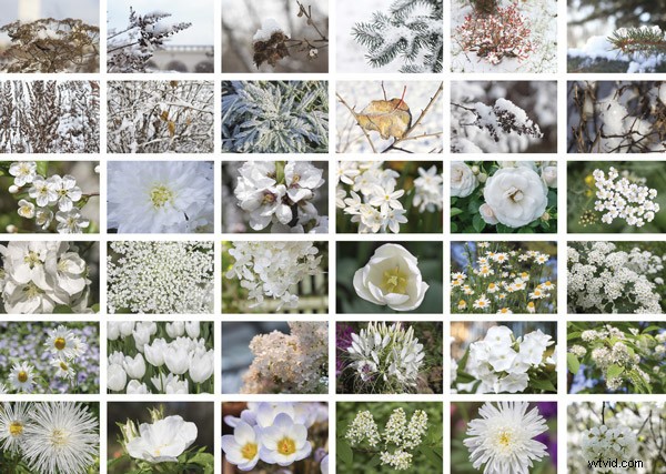 How to Batch Edit Photos in Lightroom CC: Save Time on Bulk Processing