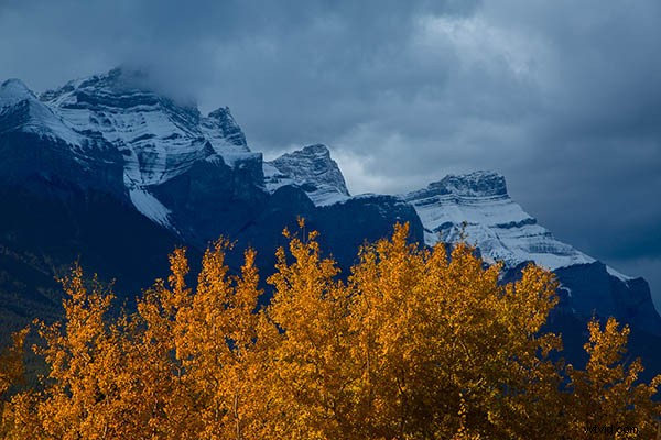 Master the Exposure Triangle: Shutter Speed, Aperture & ISO Explained