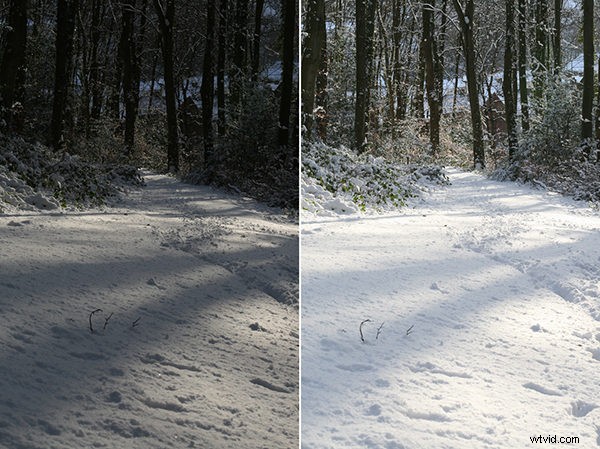 Master the Exposure Triangle: Shutter Speed, Aperture & ISO Explained