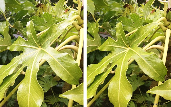 9 Essential Camera Accessories Every Photographer Needs – And Why