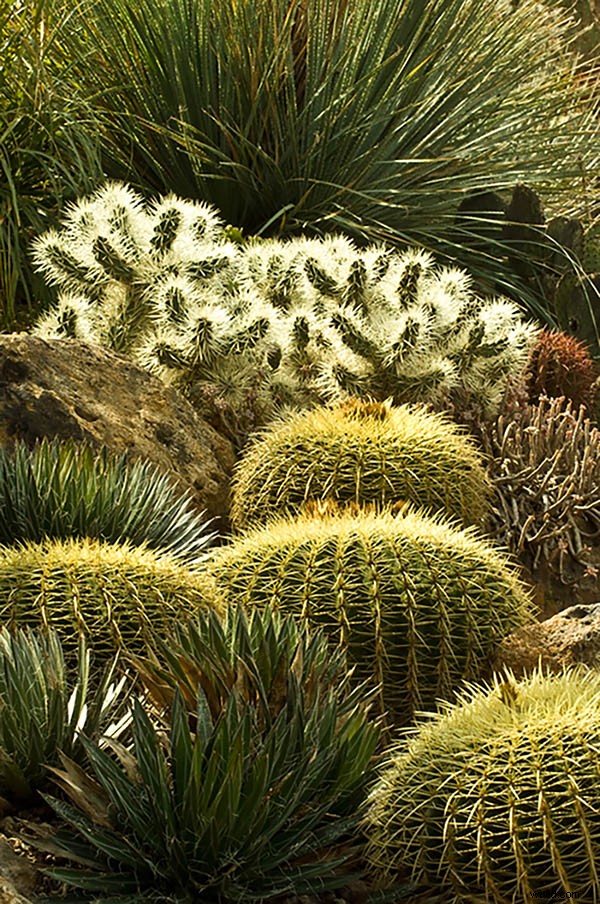 Best Time of Day for Stunning Photos: 21 Pro Tips for Perfect Lighting