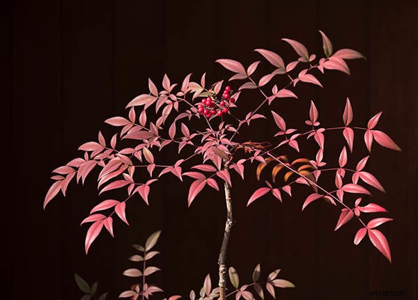 Best Time of Day for Stunning Photos: 21 Pro Tips for Perfect Lighting