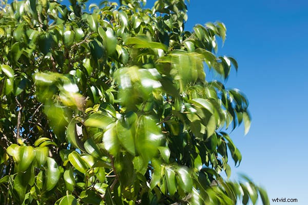 Mastering Shutter Speed: 5 Essential Insights Every Photographer Needs