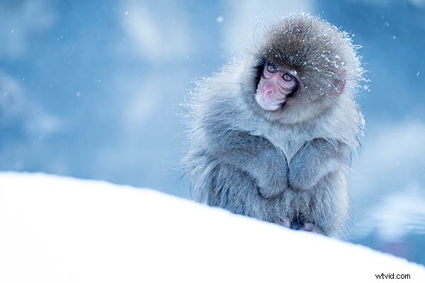 Mastering Shutter Speed: 5 Essential Insights Every Photographer Needs