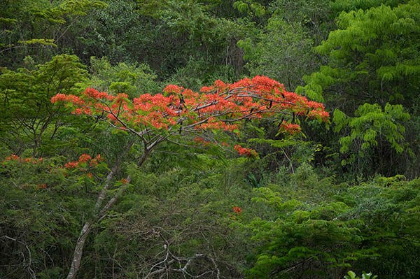 Mastering Shutter Speed: 5 Essential Insights Every Photographer Needs