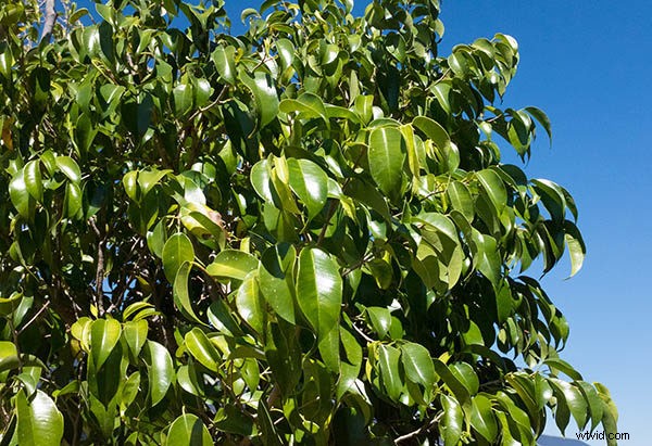 Mastering Shutter Speed: 5 Essential Insights Every Photographer Needs