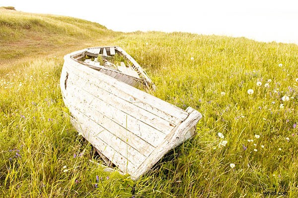 Mastering Shutter Speed: 5 Essential Insights Every Photographer Needs