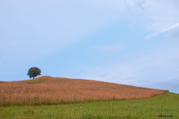 6 Expert Tips for Capturing Prize-Winning Landscape Photography