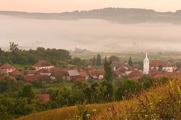 6 Expert Tips for Capturing Prize-Winning Landscape Photography