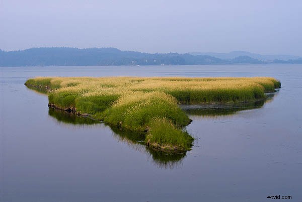 6 Expert Tips for Capturing Prize-Winning Landscape Photography