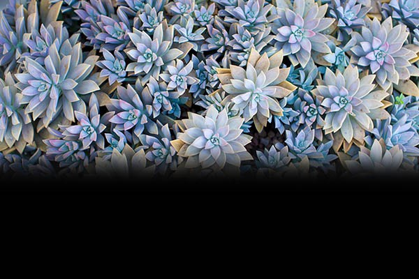 Mastering Shutter Speed: 5 Essential Insights Every Photographer Needs