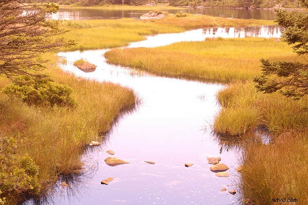 Mastering Shutter Speed: 5 Essential Insights Every Photographer Needs