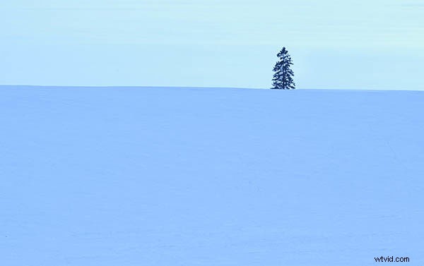 6 Expert Tips for Capturing Prize-Winning Landscape Photography