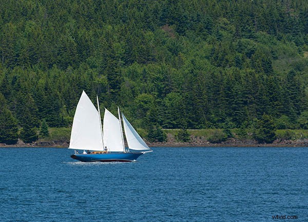 6 Expert Tips for Capturing Prize-Winning Landscape Photography